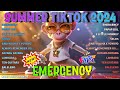 EMERGENCY x PAPAP DOL x SELOS BUDOTS 2024 - BUDOTS VIRAL REMIX - FILIPINO DISCO 2024