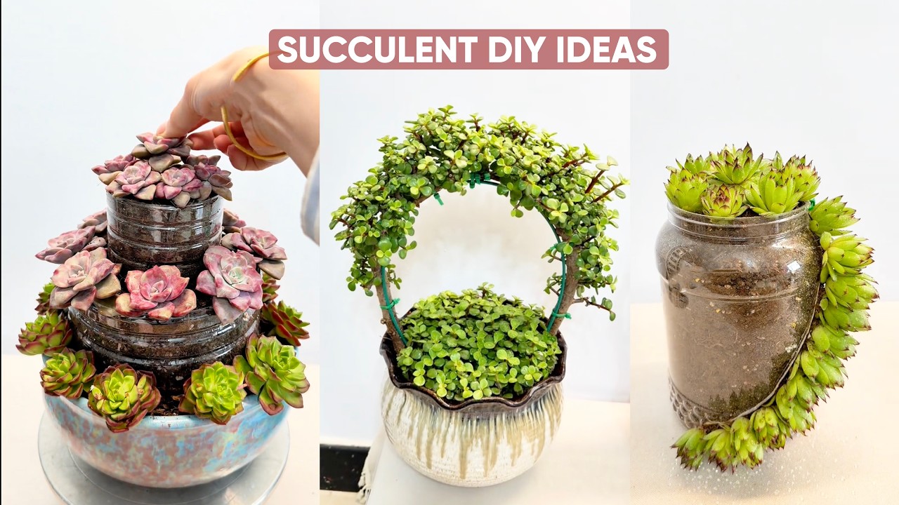 Creative Succulent DIY Ideas: Unique Ways to Decorate with Succulents ...