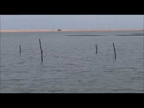 靈異:  海中拍到靈體, 這是水鬼嗎 ?