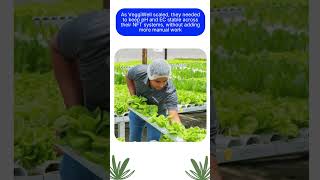 How Veggiwell achieved 90% less water use @BluelabOfficial