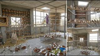 🔥 1000+ Zebra Finches in My 10x10 Aviary Farm 🐦 | 300 Nest Pots Full Orange Breeding Setup