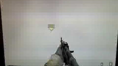 Dignitas Ingame COD4