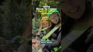Download Lagu Would YOU Zipline Through Australia’s Rainforest? MP3 Download Lagu Would YOU Zipline Through Australia’s Rainforest? MP3