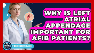 Why Is Left Atrial Appendage Important For AFib Patients? - Stroke Support Channel