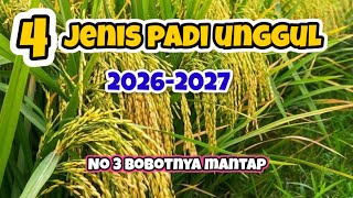 4 SUPERIOR RICE VARIETIES WITH FLUFFY TEXTURE 2026-2027