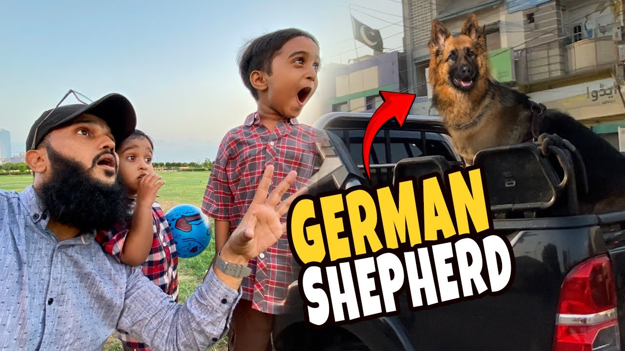 Ali or hasan ko rastay ma German Shepherd nazar aya 😱 (Fahad Bhai Official)