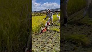 Top 3 amezing farming gadgets #shorts #shortsfeed #youtubeshorts