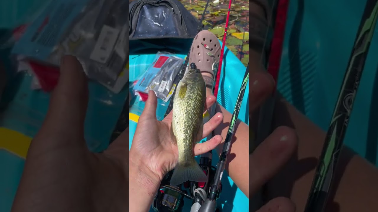 Bass fishing in my kayak at Glen Lake ￼🎣🐟🎣