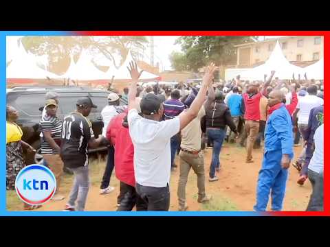 Has Kenya become a goons' paradise? A look at the country's growing wave of violence