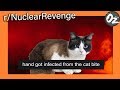 r/NuclearRevenge | Don't try to Bleach a Cat Named Lucifer | Episode 3