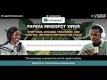 Papaya Ringspot Virus : Symptoms, Organic Treatment, and Control Methods for Infected Trees