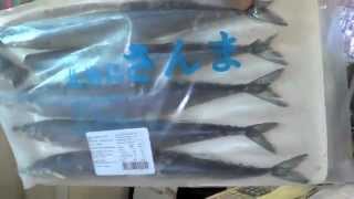 Mark Rae Down Under Music and Fishing Adventures 2012 Part 1