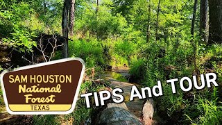 Sam Houston National Forest Tour and Hunting Tips