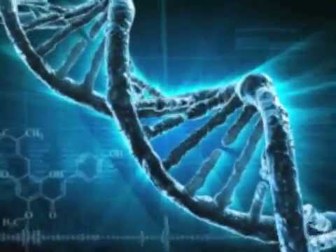 How DNA Testing works