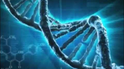 How does DNA Testing work?