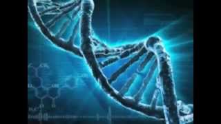 How does DNA Testing work?