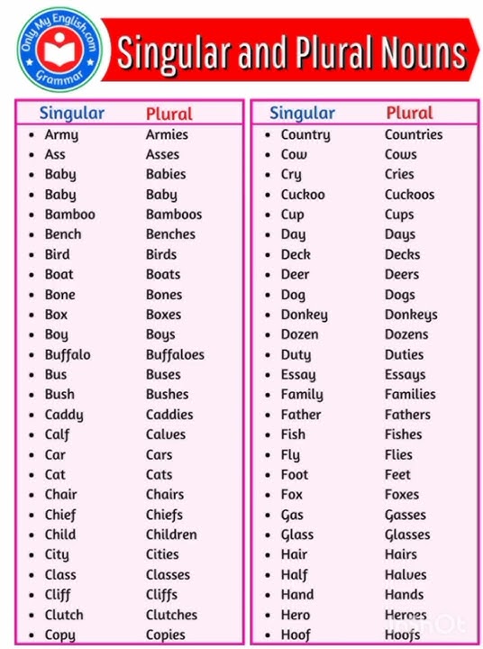 singular and plural nouns words