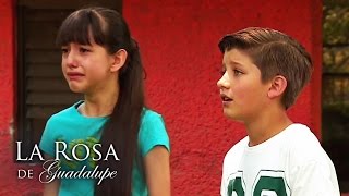 La Rosa de Guadalupe | Frente alárbol de Manzanas'