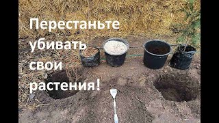 картинка: Как изменить почву под любую культуру.