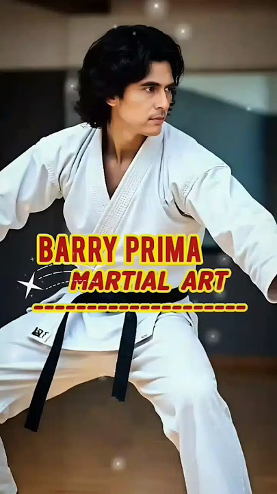 BARRY PRIMA MARTIAL ART