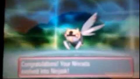 OR/AS Nincada Evolving into Ninjask + Shedinja