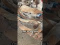 This is how I made teak root decoration