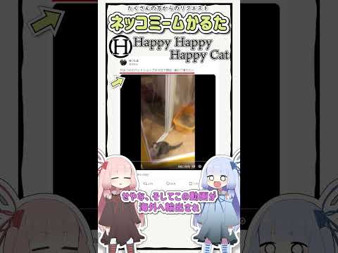 ネットミームかるた #544 HappyHappyHappyCat #Shorts