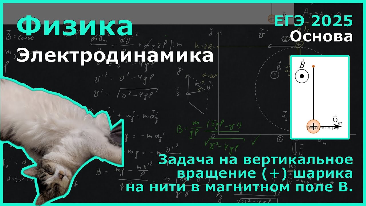 В однородном магнитном поле вращается по окружности в вертикальной плоскости ... (Физика, ЕГЭ)