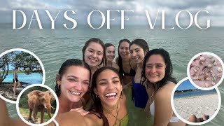 Days Off Vlog: miami zoo, dolphin show, beach day, and more! | Contract #3