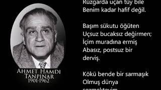 NE İÇİNDEYİM ZAMANIN AHMET HAMDİ TANPINAR Resimi