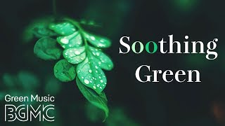 Ambient Soothing Music with Beautiful Nature - Relaxing Music for Stress Relief, Sleep, Meditation