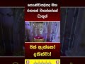 සාදූ සාදූ 🙏🙏 #buddha #bana #budhuguna #dhamma #pirith #sinhala #vesak #viral