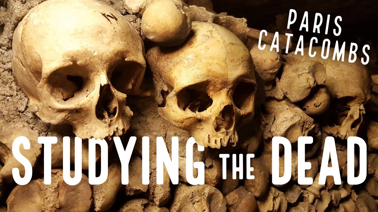 The Catacombs' FIRST Scientific Expedition?!
