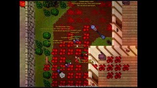Aldora War