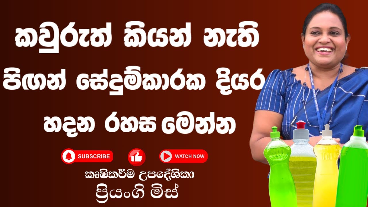 කවුරුත් කියන්  නැති පිඟන් සේදුම්කාරක දියර හදන රහස  මෙන්න/Lets make dishwashing liquid at home