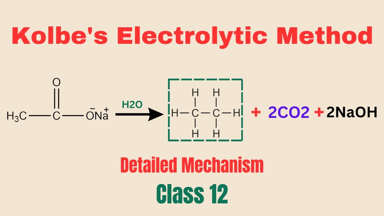 kolbes electrolytic method for alkane preparation class 12 | Mechanism of Kolbes electrolytic method