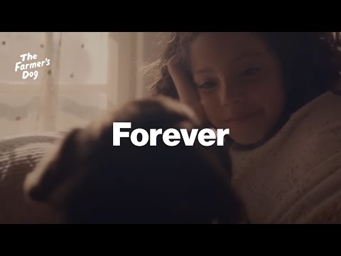 Forever (Super Bowl) :60 | The Farmer's Dog