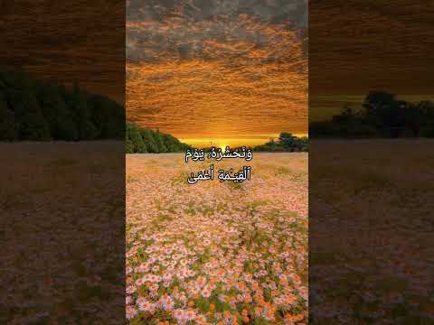 ملخص الحياة الدنيا فى الآيتين دول