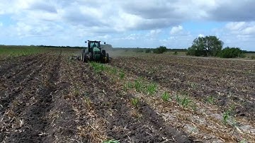 John Deere tractor chisel plowing.