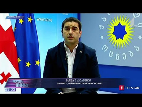 ევროპარლამენტარების გზავნილი - „დღის თემის“ შეკითხვებს შალვა პაპუაშვილმა უპასუხა