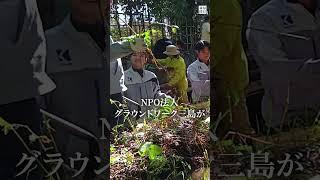 「ほたるの里」環境整備で再生を目指す　#静岡 ・ #三島 #ホタル #shorts  #毎日新聞