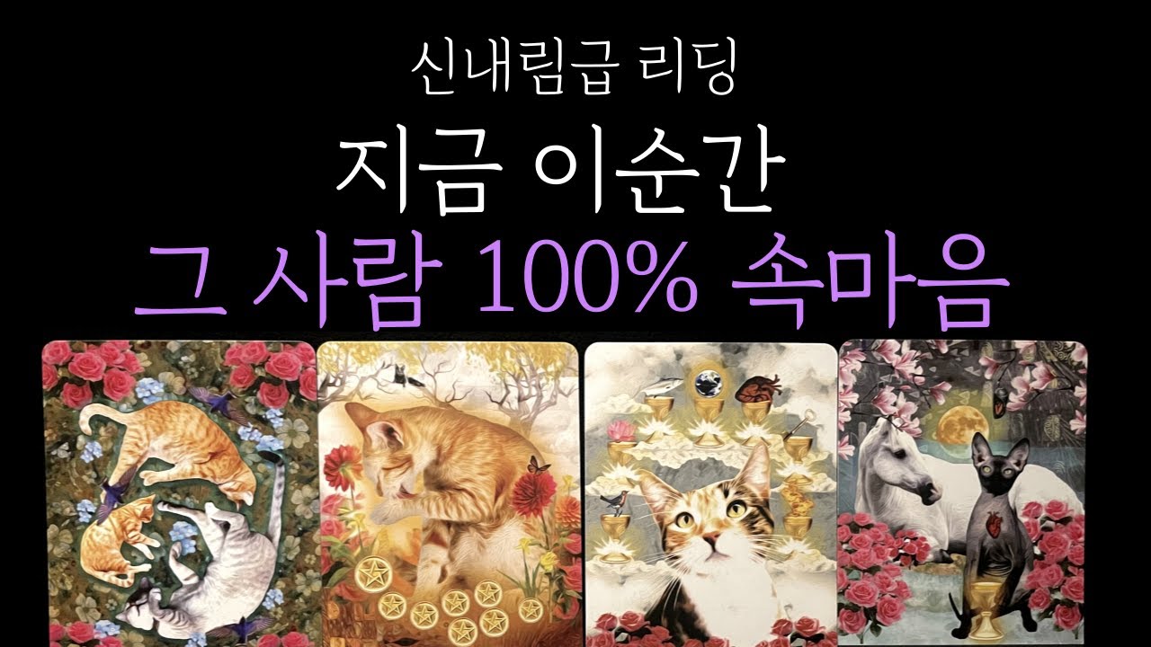 [타로 속마음] 🧿신내림급 리딩❗나를 향한 그사람 100% 속마음💗 짝사랑 · 썸 · 커플 · 재회