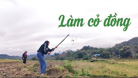 Cói Lalin Đi Làm Cỏ Đồng ( girl working in the field)