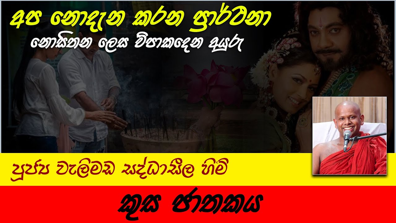 Kusa Jathakaya | කුස ජාතකය | අප නොදැන කරන ප්‍රාර්ථනා | Ven. Welimada Saddaseela Thero