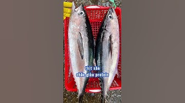 Ăn Những Loại Cá Này, Tim Khỏe, Não Minh Mẫn, Sống Thọ Hơn! – Bác Sĩ Hội