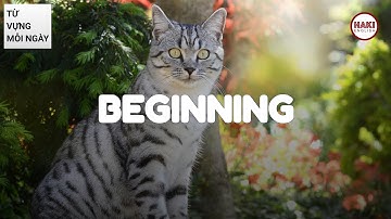 BEGINNING | Phát âm - Giải nghĩa - Ví dụ | Từ vựng tiếng Anh