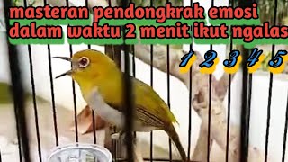 Download Lagu MASTERAN !! PANCINGAN PLECI BAHAN AGAR CEPAT NGALAS || PLECI NGALAS MANGGIL LAWAN || PLECI BUXTONI MP3 Download Lagu MASTERAN !! PANCINGAN PLECI BAHAN AGAR CEPAT NGALAS || PLECI NGALAS MANGGIL LAWAN || PLECI BUXTONI MP3