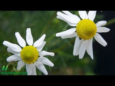 Chamomile Tea May Not Be Safe During Pregnancy