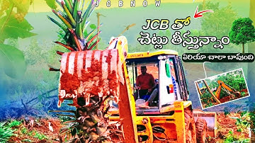 #Jcb Removing Tress|| #Jcb3dx Cleaning Trees||#Jcb3dx Removing Palm Tree||#jcb work|| @JcbNow