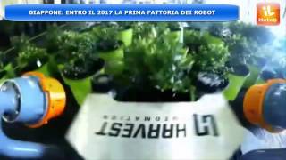 METEO NEWS : AGRICOLTURA ROBOT... FATTORIE COMPLETE IN GIAPPONE